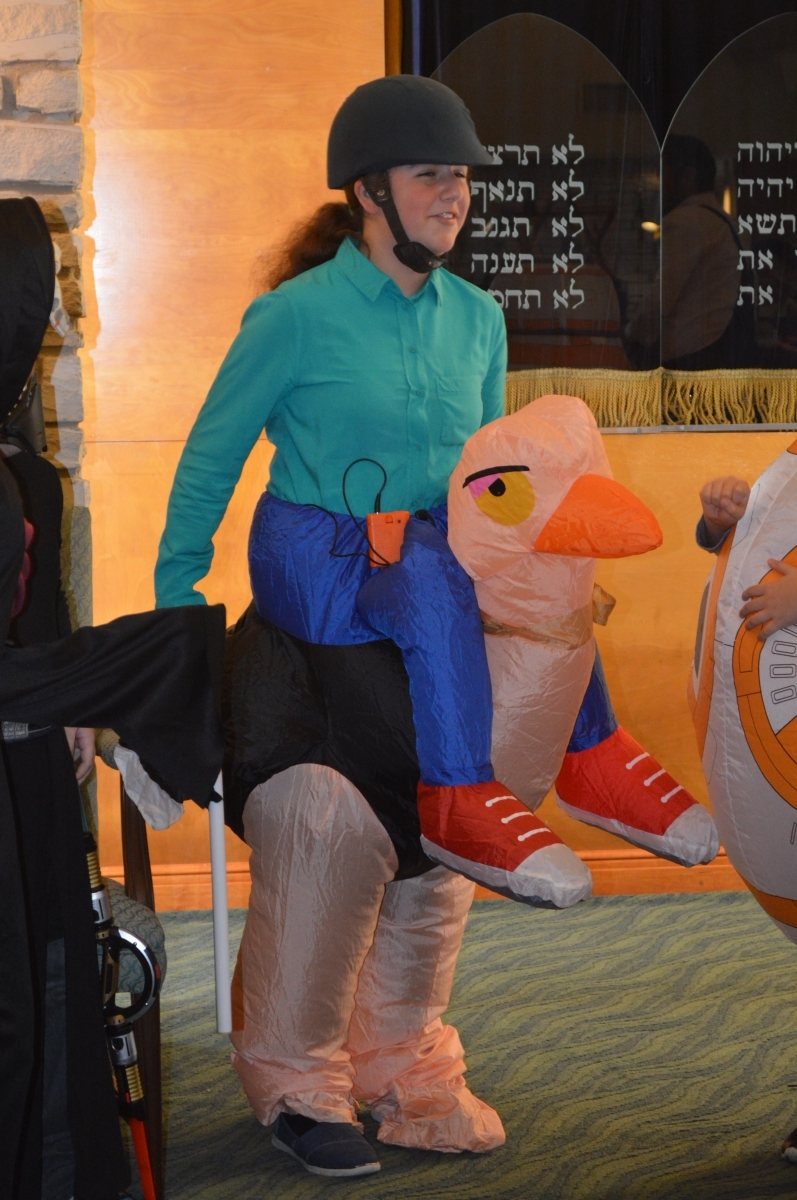 DSC 0066